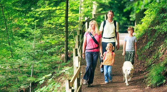 Wandern im schönen Fichtelgebirge